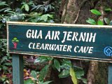 00395-1747 Clearwater Cave Sign